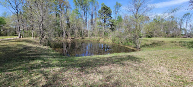 517 CANEY VALLEY DR, PLUMERVILLE, AR 72127, photo 5 of 10