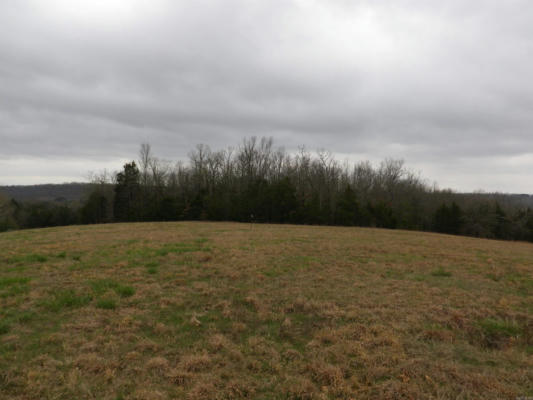 62 PAINTED SKY, GREENBRIER, AR 72058, photo 3 of 18
