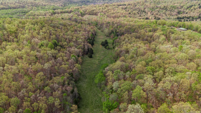 40 ACRES HILL CREEK TRAIL, MAMMOTH SPRING, AR 72554, photo 4 of 16