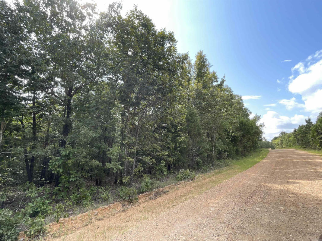 2194 FRENCH TOWN RD, CAMP, AR 72520, photo 1 of 9