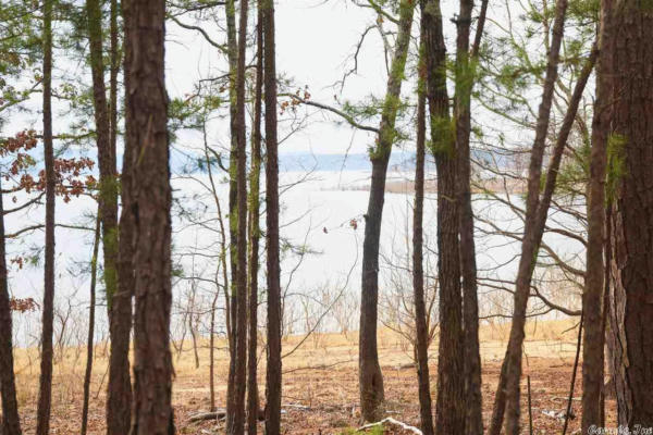 LOT 26 SHILOH LANDING POINTE, GREERS FERRY, AR 72067, photo 5 of 10