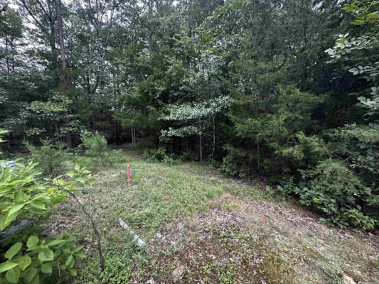 LOT 43 COBALT BAY DRIVE, SHIRLEY, AR 72153, photo 2 of 9