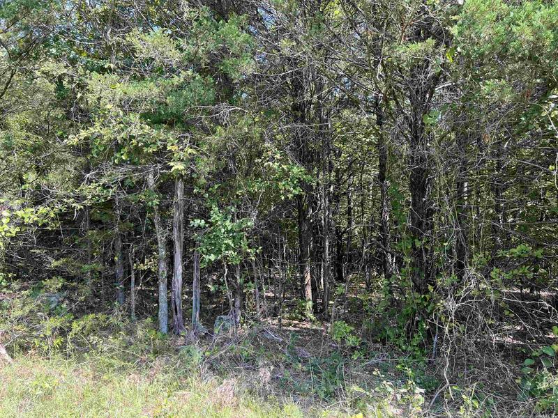 6.13 ACRES OFF OF MEADOW CREEK DRIVE, HARRISON, AR 72601, photo 1 of 7