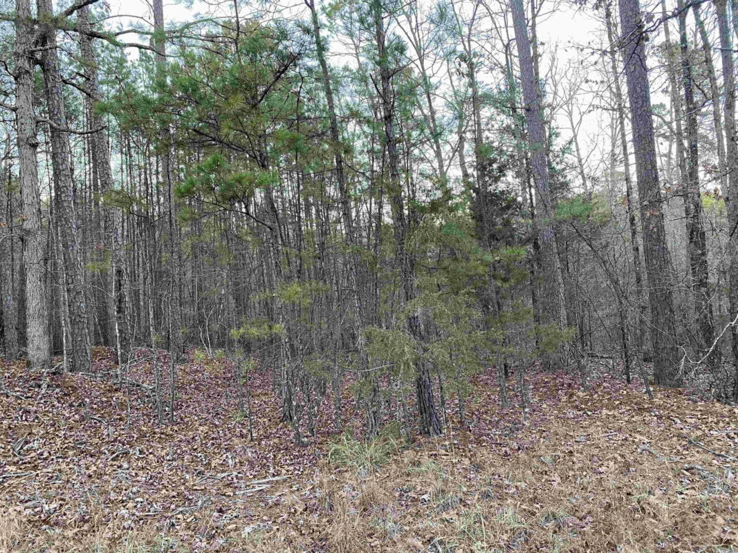 69.40 ACRES MOUNTAIN PARK ROAD, SHIRLEY, AR 72153, photo 1 of 23