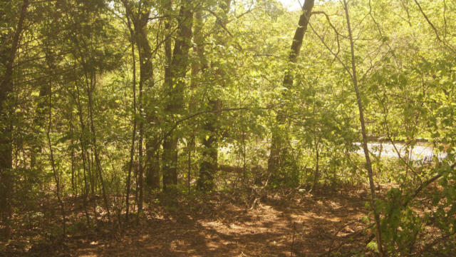 2 BOOTH CREEK RD, WILLIFORD, AR 72482, photo 4 of 9