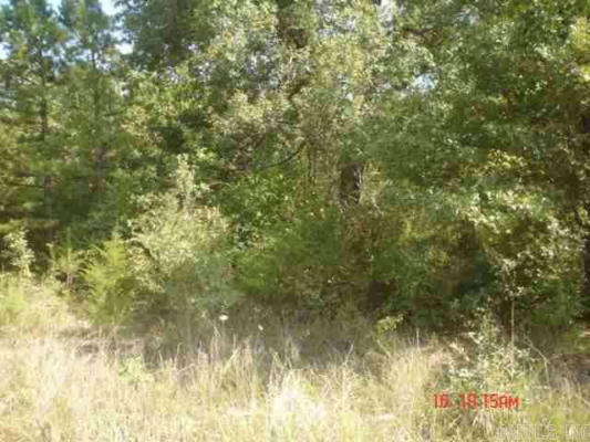 LOT 24 PINE VALLEY DRIVE, FLIPPIN, AR 72634, photo 4 of 4