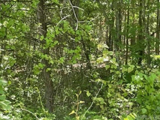 LOT 24 PINE VALLEY DRIVE, FLIPPIN, AR 72634, photo 2 of 4