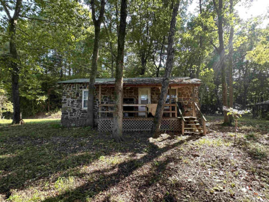 295 BERRYNEW LN, HECTOR, AR 72843 - Image 1