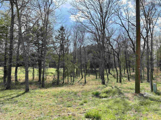 LOT 35 LANCASTER-TUBBS CREEK HOMESITES, MOUNTAIN VIEW, AR 72560, photo 3 of 5