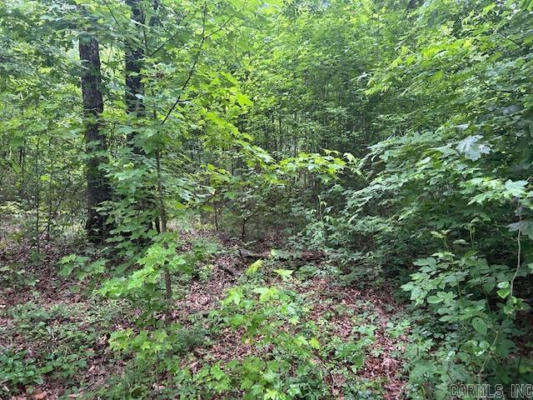 00 MARTIN ACCESS ROAD, MOUNTAIN VIEW, AR 72560, photo 2 of 4