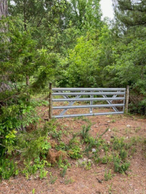 TBD BUTTRUM ROAD, ROYAL, AR 71968 - Image 1
