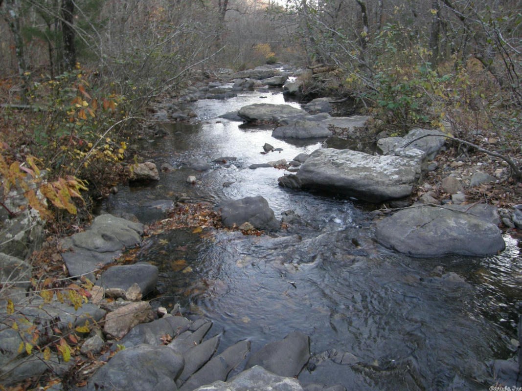 TBD POLK ROAD 64, MENA, AR 71953, photo 1 of 31