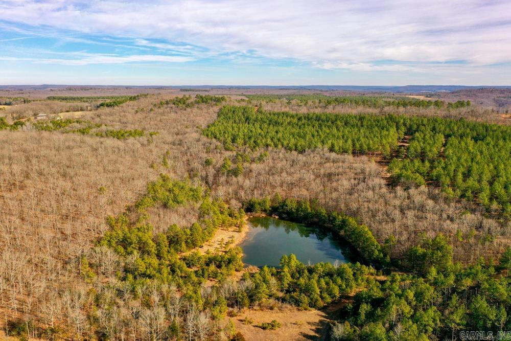 000 DODD MOUNTAIN ROAD, SHIRLEY, AR 72153, photo 1 of 50