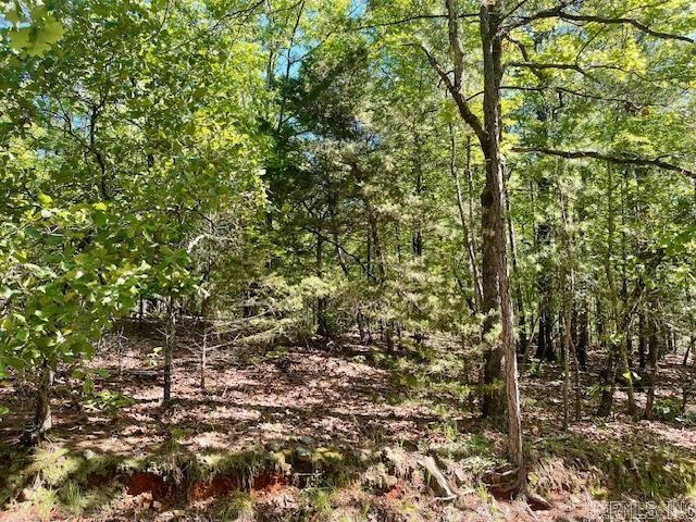 LOT 4 SUNSET TRAIL, NORTH LITTLE ROCK, AR 72118, photo 1 of 5