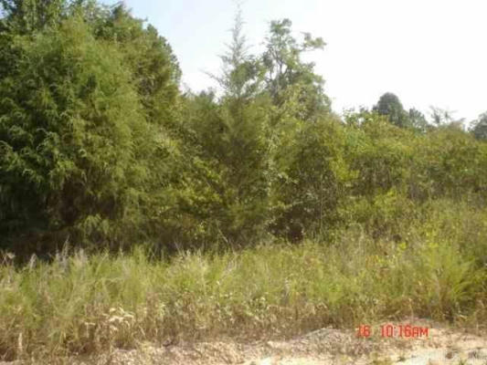 LOT 24 PINE VALLEY DRIVE, FLIPPIN, AR 72634, photo 3 of 4