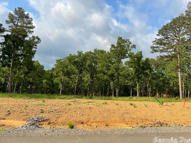 3 ORCHARD PARK, CONWAY, AR 72034, photo 1 of 6