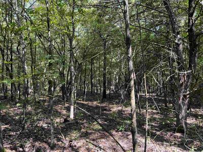 6.13 ACRES OFF OF MEADOW CREEK DRIVE, HARRISON, AR 72601, photo 2 of 7