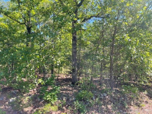 LOT 2 SUNSET TRAIL, NORTH LITTLE ROCK, AR 72118, photo 3 of 4