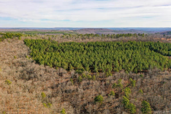 000 DODD MOUNTAIN ROAD, SHIRLEY, AR 72153, photo 2 of 50