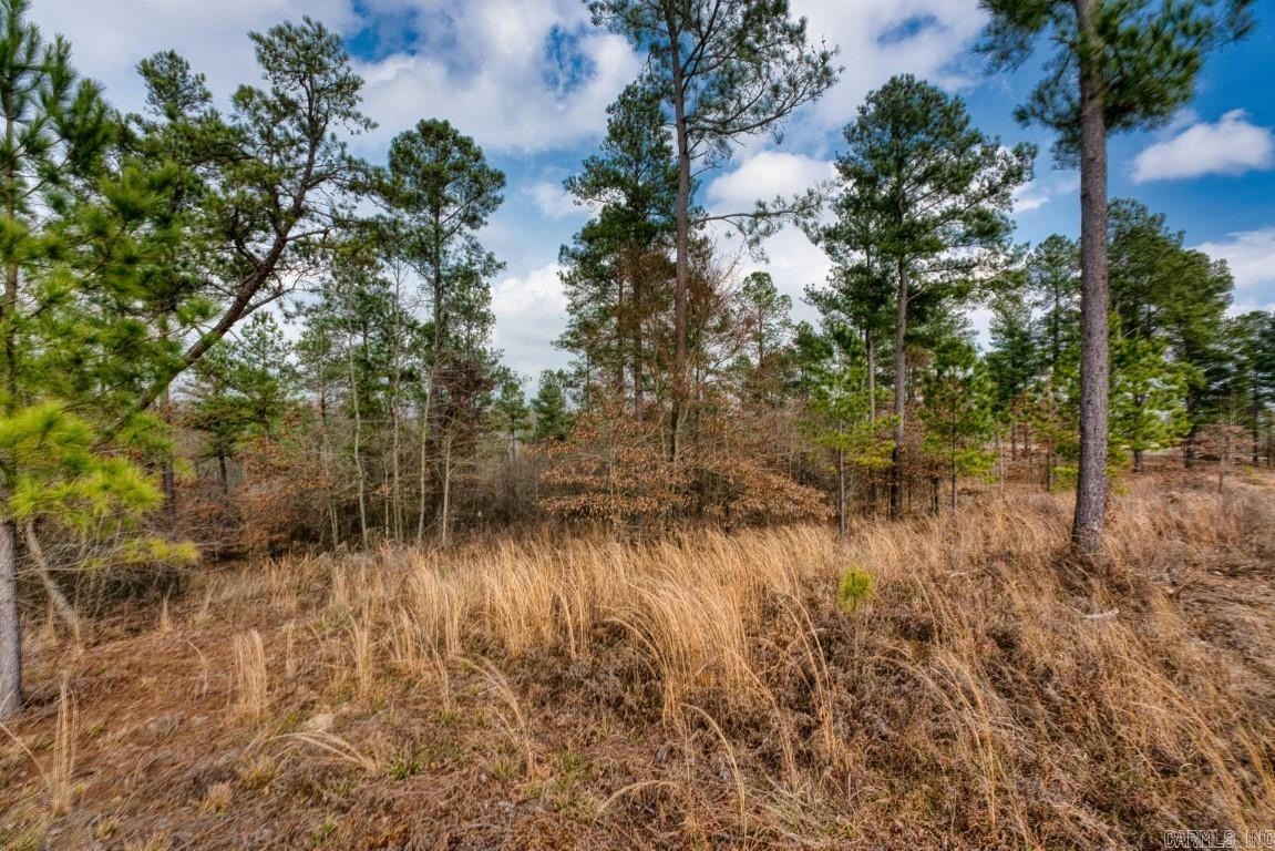 LOT 11 LOOKOUT LN, KIRBY, AR 71950, photo 1 of 7