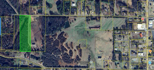 00 OAK ST, HECTOR, AR 72843 - Image 1