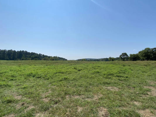 3784 OLD CADDO GAP RD, BONNERDALE, AR 71933 - Image 1