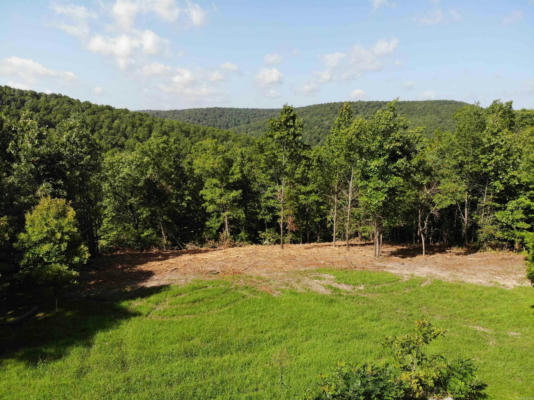 3101 DEAN MTN RD, LESLIE, AR 72645 - Image 1