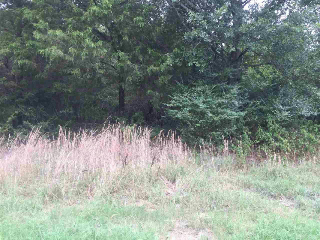 134 JERRY LN LOT 5, JUDSONIA, AR 72081, photo 1