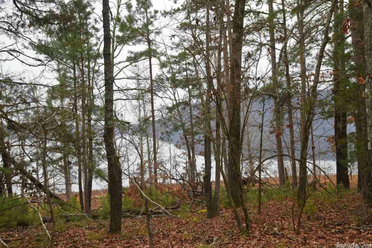 LOT 29 SHILOH LANDING POINTE, GREERS FERRY, AR 72067, photo 1 of 10