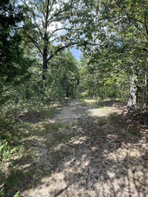 2194 FRENCH TOWN RD, CAMP, AR 72520, photo 5 of 9