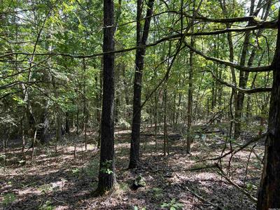 6.13 ACRES OFF OF MEADOW CREEK DRIVE, HARRISON, AR 72601, photo 3 of 7