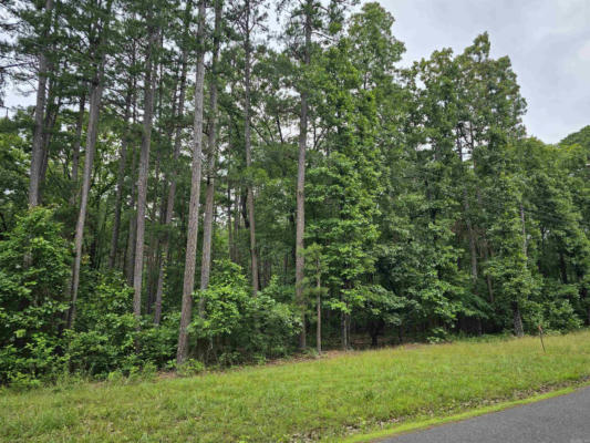 LOT 13 NORTHSHORE DRIVE, GREERS FERRY, AR 72067 - Image 1