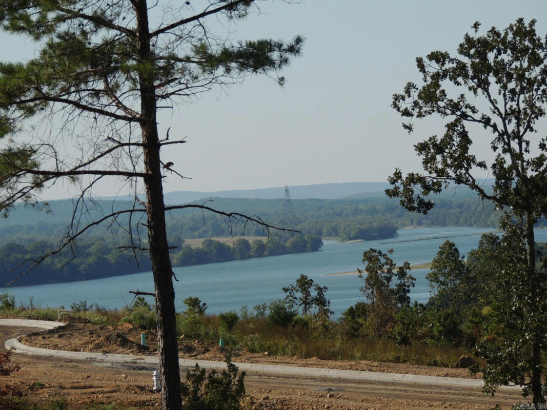 LOT 91 SUMMIT VIEW LANE, MAUMELLE, AR 72113, photo 1 of 33