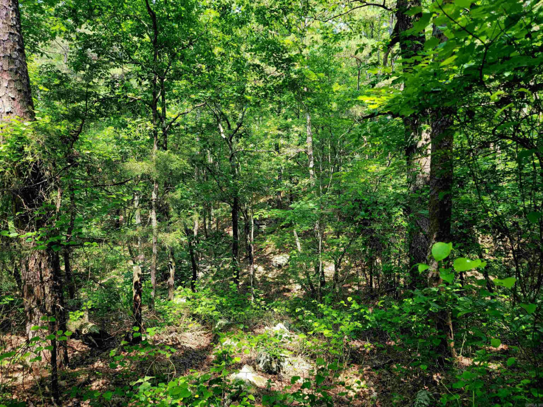 LOT 17 FERN TRAIL, FAIRFIELD BAY, AR 72088, photo 1 of 4