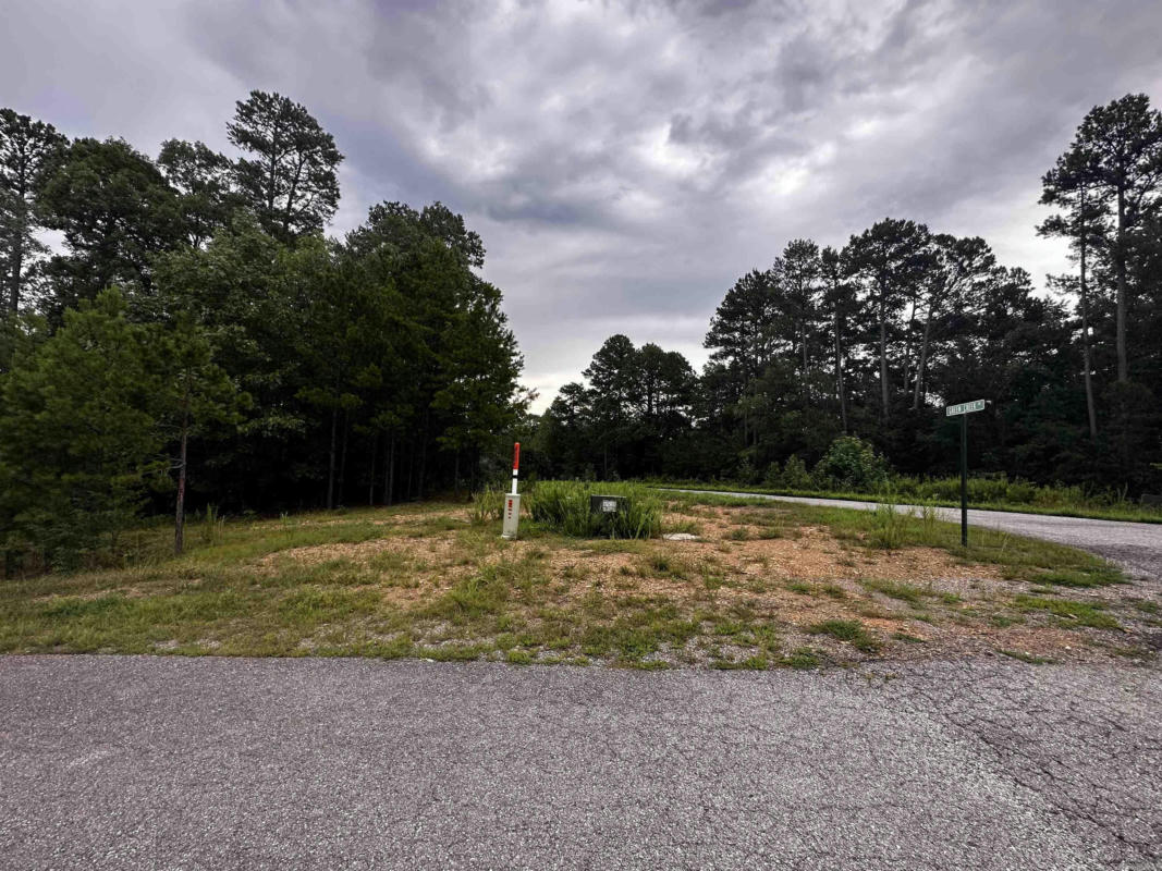 LOT 57 COBALT BAY DRIVE, SHIRLEY, AR 72153, photo 1 of 3