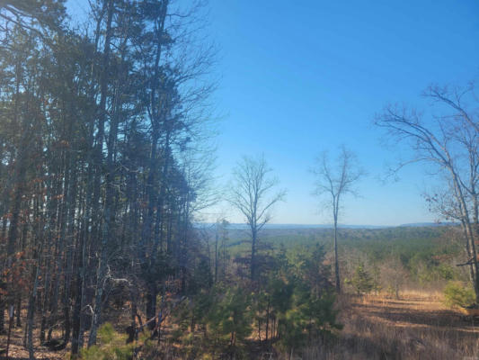 00 LOT 11 HALEY/LAKEVIEW, GREERS FERRY, AR 72067, photo 2 of 17