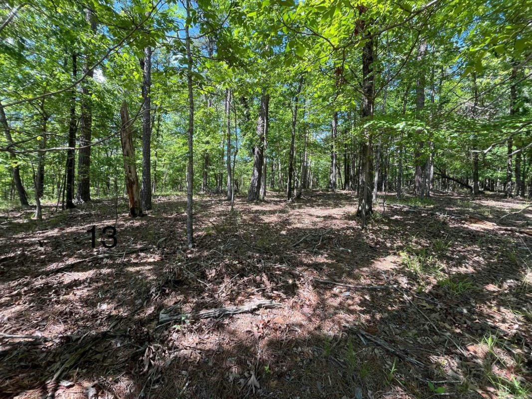 LOT 13 WATERVIEW DRIVE, HOT SPRINGS, AR 71913, photo 1 of 2