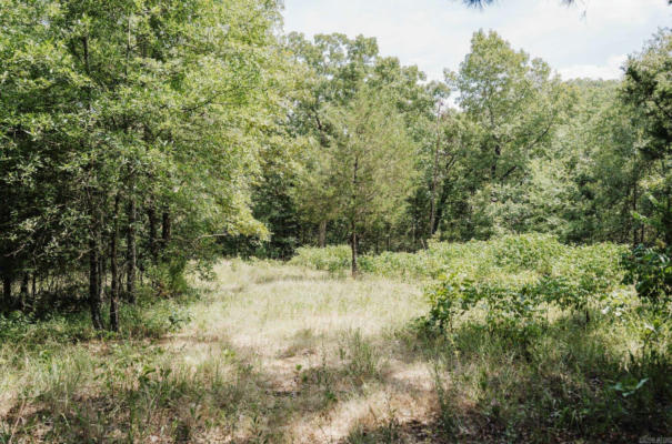 000 N SR 105 HIGHWAY, HECTOR, AR 72843 - Image 1