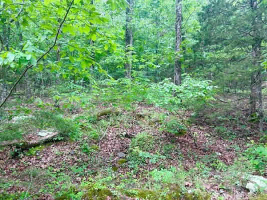 00 MARTIN ACCESS ROAD, MOUNTAIN VIEW, AR 72560, photo 3 of 4