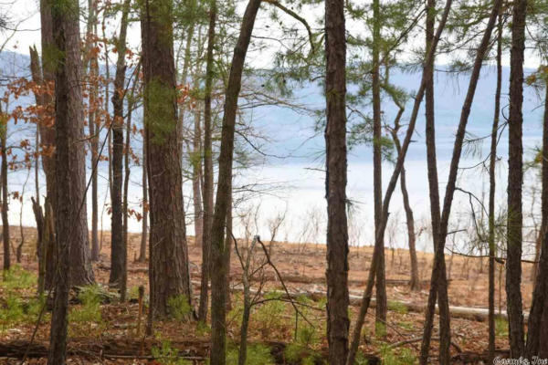 LOT 26 SHILOH LANDING POINTE, GREERS FERRY, AR 72067, photo 4 of 10