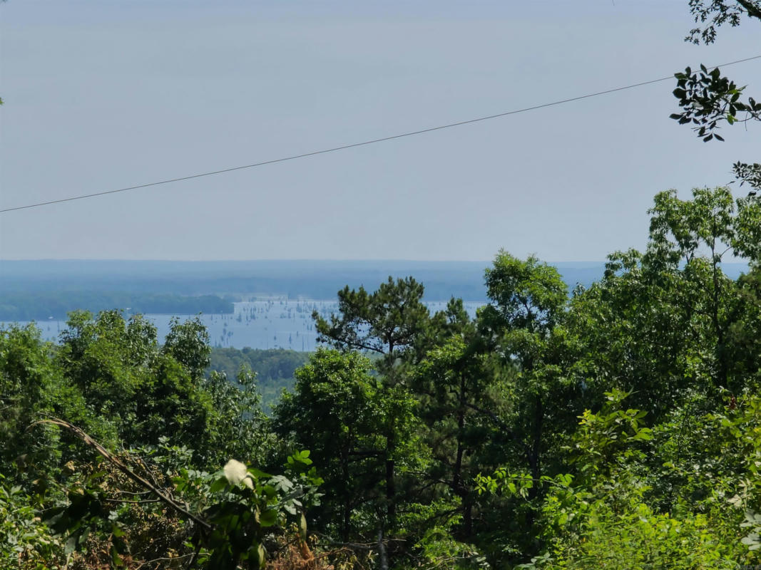 PINE MOUNTAIN DRIVE, CONWAY, AR 72034, photo 1 of 2