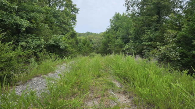 102 MOTHER LODE DR, HORSESHOE BEND, AR 72512 - Image 1