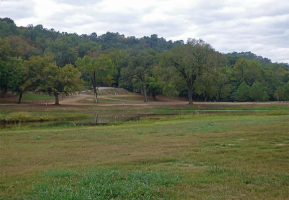 GRIFFIN ROAD, HARDY, AR 72542, photo 3 of 13