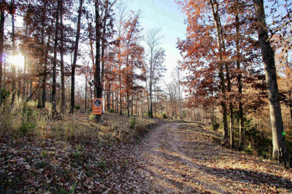 002 MISTY MEADOWS, GARFIELD, AR 72732, photo 3 of 49