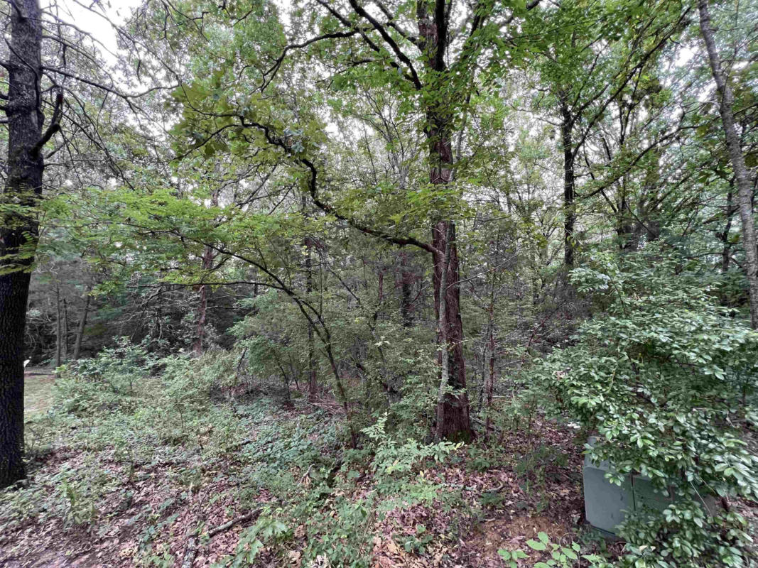 LOT 15 LOYD ADDITION, JONESBORO, AR 72405, photo 1 of 4