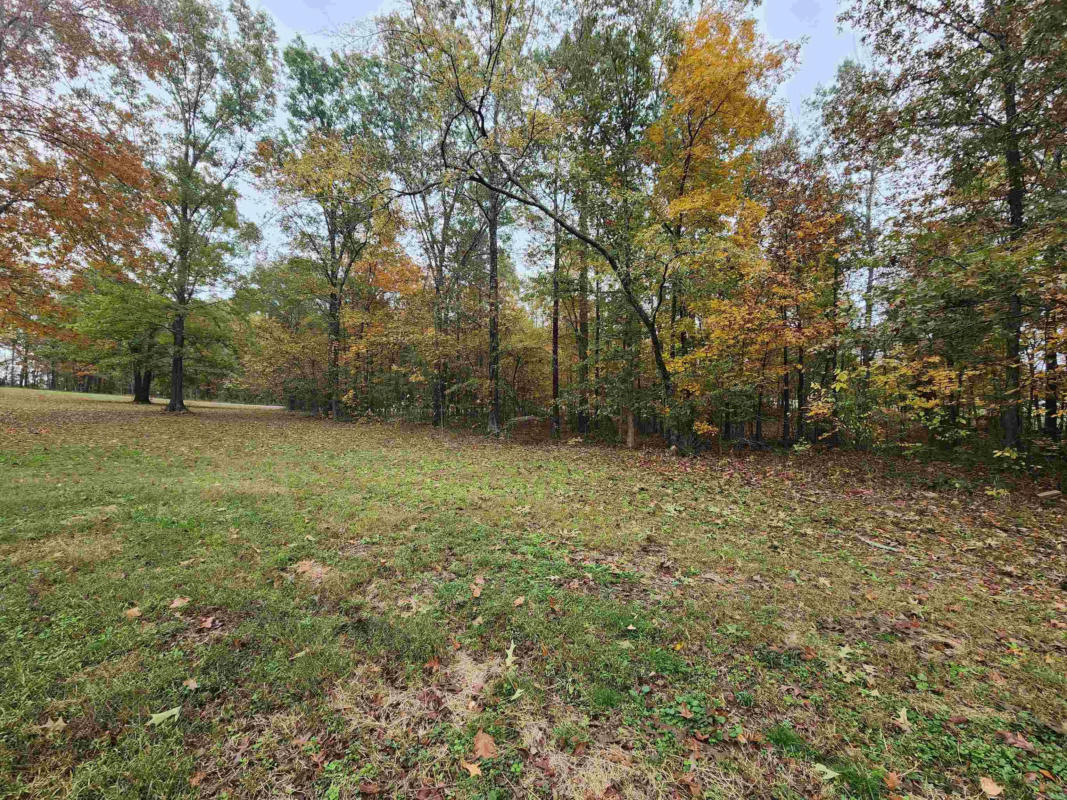 LOT #7 WATER'S EDGE DRIVE, TAYLOR, AR 71861, photo 1 of 2