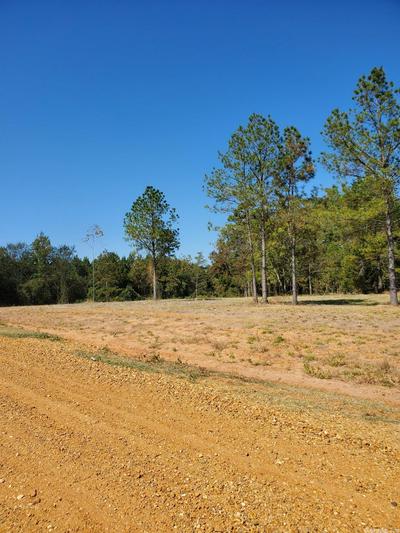 LOT 3 YOUNG PINES, RISON, AR 71665 - Image 1