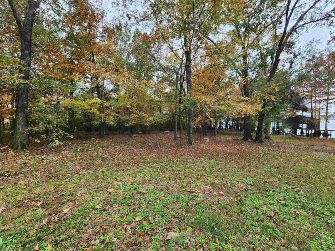 LOT #6 WATER'S EDGE DRIVE, TAYLOR, AR 71861, photo 1 of 2
