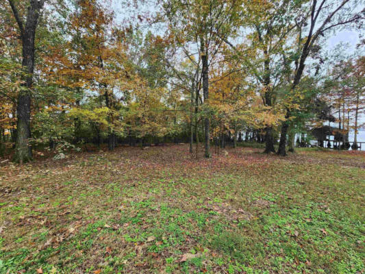 LOT #6 WATER'S EDGE DRIVE, TAYLOR, AR 71861 - Image 1