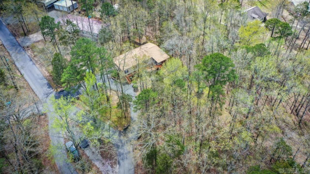 99 LAKEVIEW DR, GREERS FERRY, AR 72067, photo 4 of 46